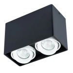 Точечный накладной светильник Arte Lamp PICTOR A5655PL-2BK