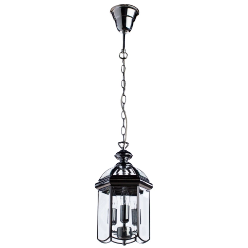 Купить Подвесной светильник Arte Lamp RIMINI A6505SP-3CC