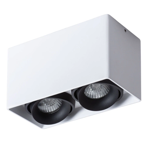 Купить Точечный накладной светильник Arte Lamp PICTOR A5654PL-2WH