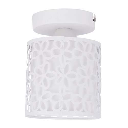Купить Потолочный светильник Arte Lamp TRAFORATO A8349PL-1WH