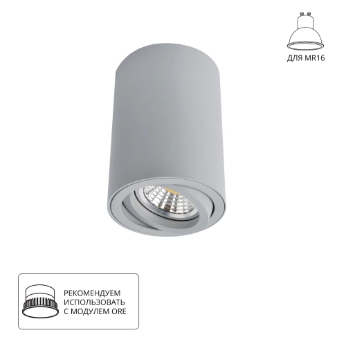Купить Точечный накладной светильник Arte Lamp SENTRY A1560PL-1GY