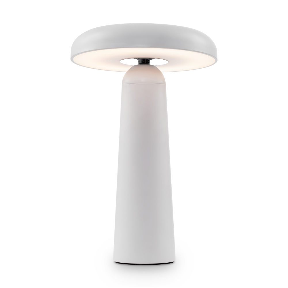 Аккумуляторный светильник Freya FR6109TL-L4W