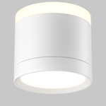 Потолочный светильник Technical C120CL-GX53-W