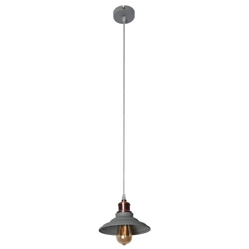 Купить Подвесной светильник Arte Lamp LIDO A5067SP-1GY