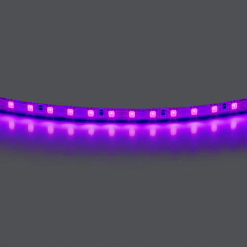 Купить 420518 Лента LIGHTSTAR LED 24V 12W 120leds/M 1600 LM/M фиолетовый IP20 1шт = 5м