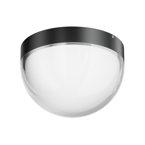 Купить Уличный потолочный светильник Outdoor O438CL-L12GF3K