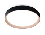 FZ1324 BK/LWD черный/светлое дерево IP20 41W 3000-6400K D390*70 (ПДУ ИК)