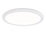 FZ1907 WH белый IP54 35W 3000K-6500K CCT-переключатель D450*25 (Без ПДУ)