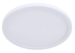 Потолочный светильник Arte Lamp A2532PL-1WH
