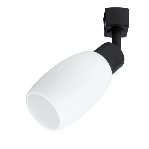 Купить Трековый светильник Arte Lamp MIIA A3055PL-1BK