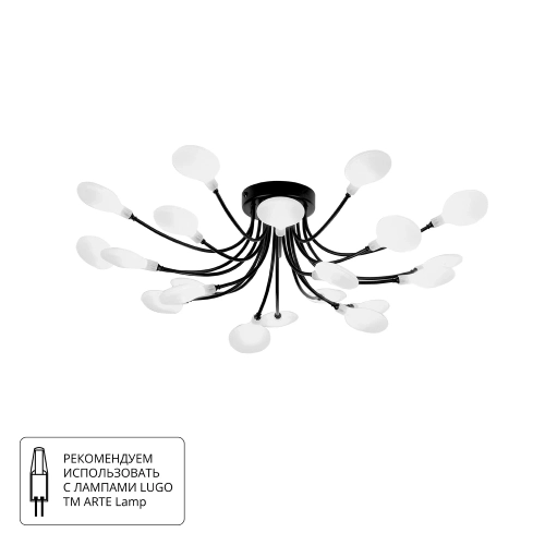 Купить Потолочная люстра Arte lamp GUIMET A7423PL-20BK