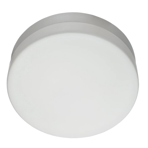 Купить Потолочный светильник Arte Lamp AQUA A3211PL-2WH