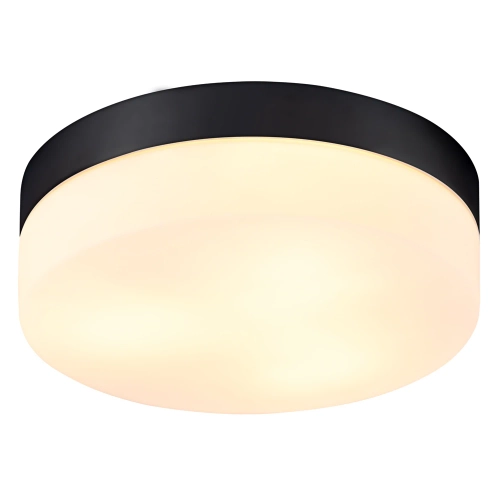 Купить Потолочный светильник Arte Lamp AQUA-TABLET A6047PL-3BK