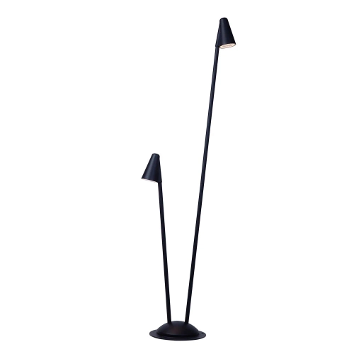 Купить Ландшафтный светильник Arte Lamp MUPHRID A4109PA-2BK