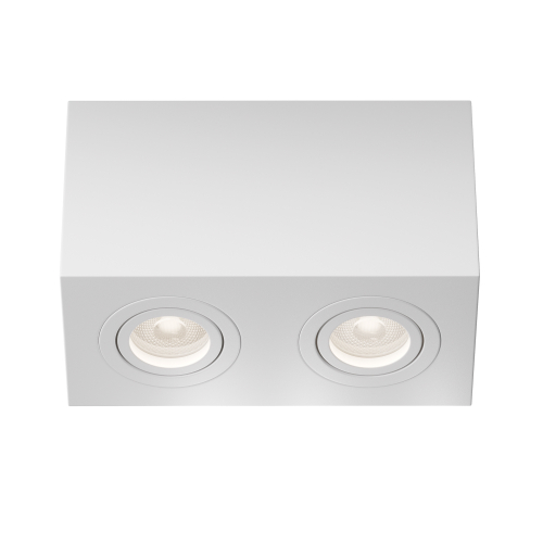 Купить Потолочный светильник Technical C017CL-02W