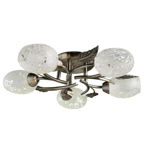 Купить Потолочная люстра Arte Lamp ANETTA A6157PL-5AB