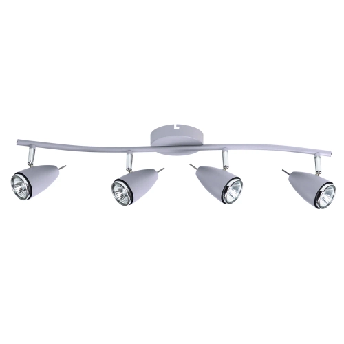 Купить Спот Arte Lamp REGISTA A1966PL-4GY