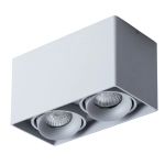 Точечный накладной светильник Arte Lamp PICTOR A5654PL-2GY