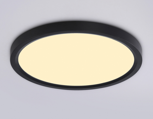 Купить FZ1904 BK черный IP54 20W 3000K-6500K CCT-переключатель D300*25 (Без ПДУ)