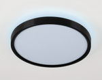 FZ3050 BK черный IP44 24W+10W 6400+6400К D300*40 (Без ПДУ)