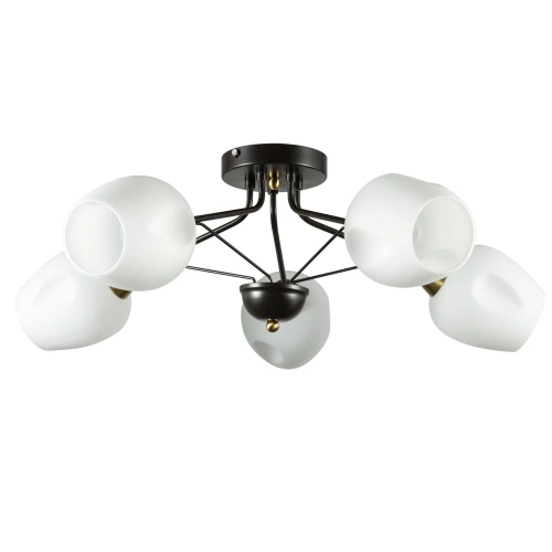 Купить Потолочная люстра Arte Lamp BRIGHTON A2706PL-5CK