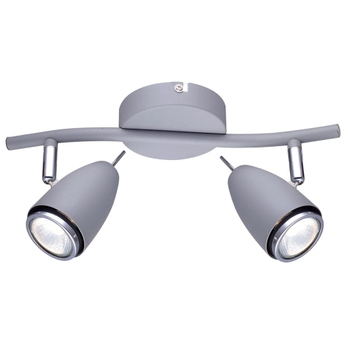 Купить Спот Arte Lamp REGISTA A1966AP-2GY