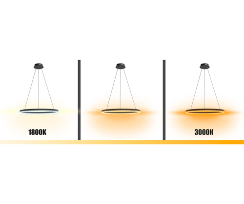Купить 08212,19A(dim to warm) Подвес Тор черный d40