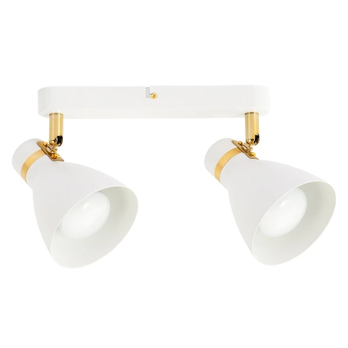 Купить Спот Arte Lamp FAFNIR A5047PL-2WH
