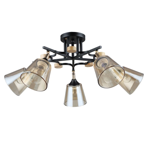 Купить Потолочная люстра Arte Lamp GLASSY A5078PL-5BK