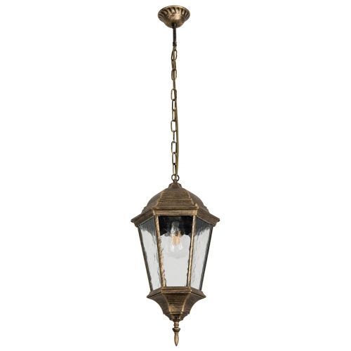 Купить Уличный подвесной светильник Arte Lamp GENOVA A1204SO-1BN