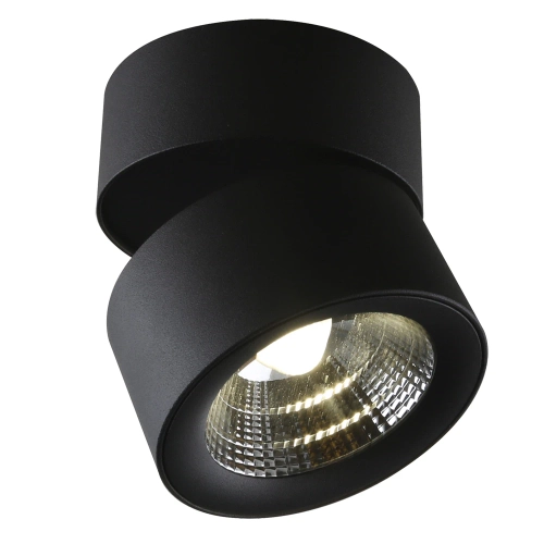 Купить Спот Divinare URCHIN 1295/04 PL-1