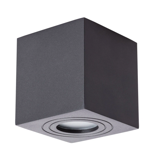 Купить Точечный накладной светильник Arte Lamp GALOPIN A1461PL-1BK
