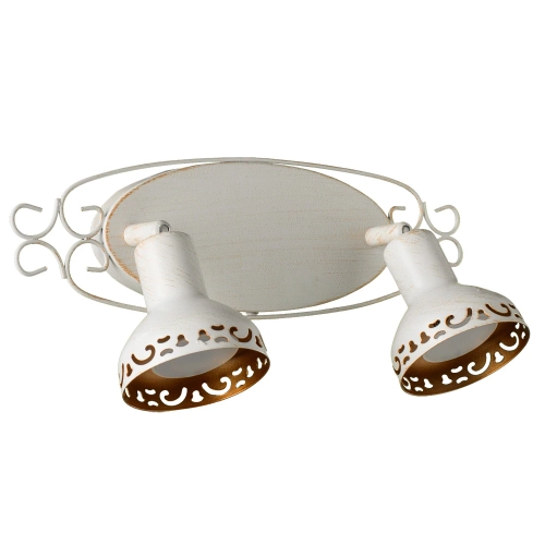 Купить Спот Arte Lamp FOCUS A5219AP-2WG