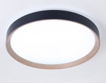 FZ1326 BK/LWD черный/светлое дерево IP20 60W 3000-6400K D490*80 (ПДУ ИК)
