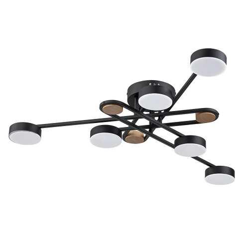 Купить Потолочная люстра Arte Lamp TAYGETA A2455PL-6BK