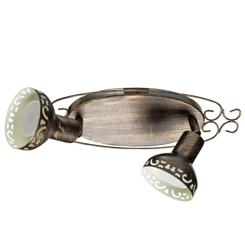 Купить Спот Arte Lamp FOCUS A5219AP-2BR