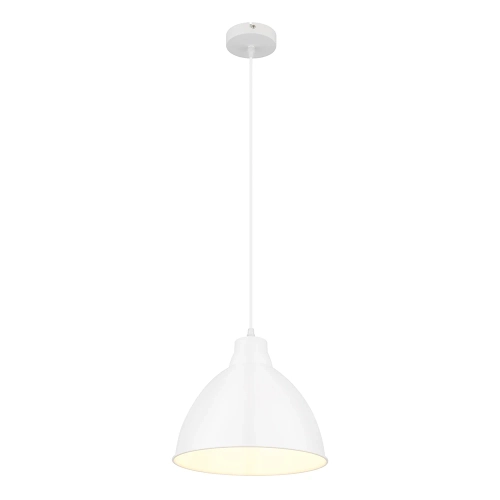 Купить Подвесной светильник Arte Lamp BRACCIO A2055SP-1WH