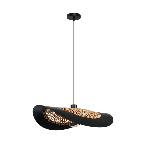 Купить Подвесной светильник Arte Lamp WOODSTOCK A7059SP-1BK