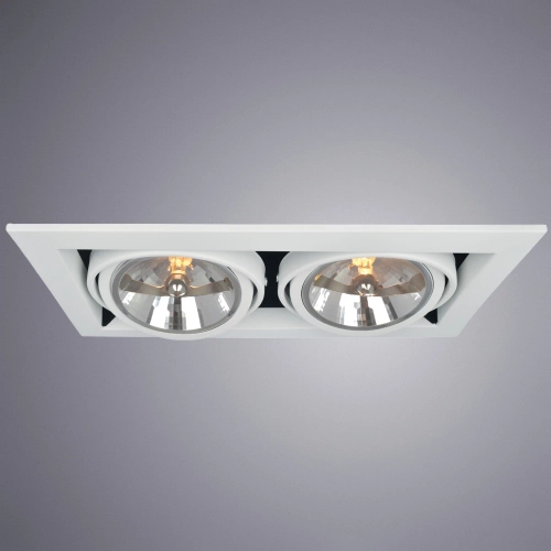 Купить Карданный светильник Arte Lamp CARDANI GRANDE A5935PL-2WH