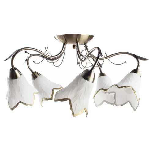 Купить Потолочная люстра Arte Lamp BARBARA A6066PL-5AB