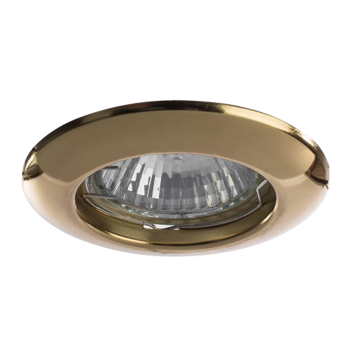 Купить Точечный встраиваемый светильник Arte Lamp PRAKTISCH A1203PL-1GO