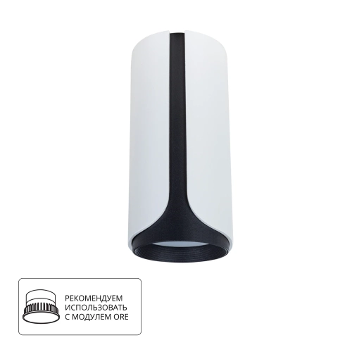 Купить Точечный накладной светильник Arte Lamp PINO A7376PL-1WH