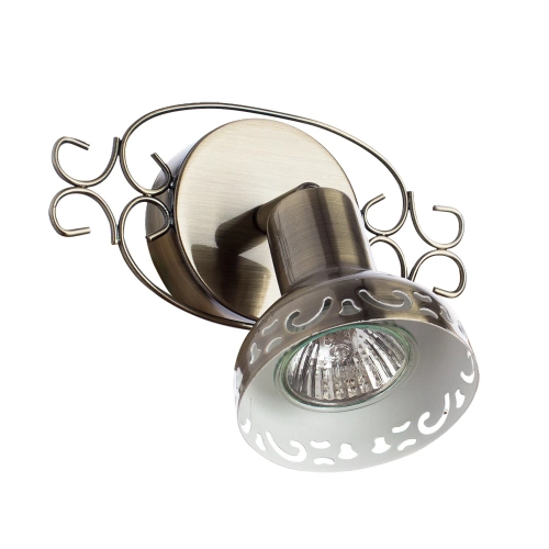 Купить Спот Arte Lamp FOCUS A5219AP-1AB