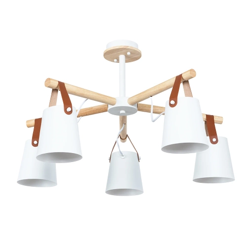 Купить Потолочная люстра Arte Lamp THOMAS A7032PL-5WH
