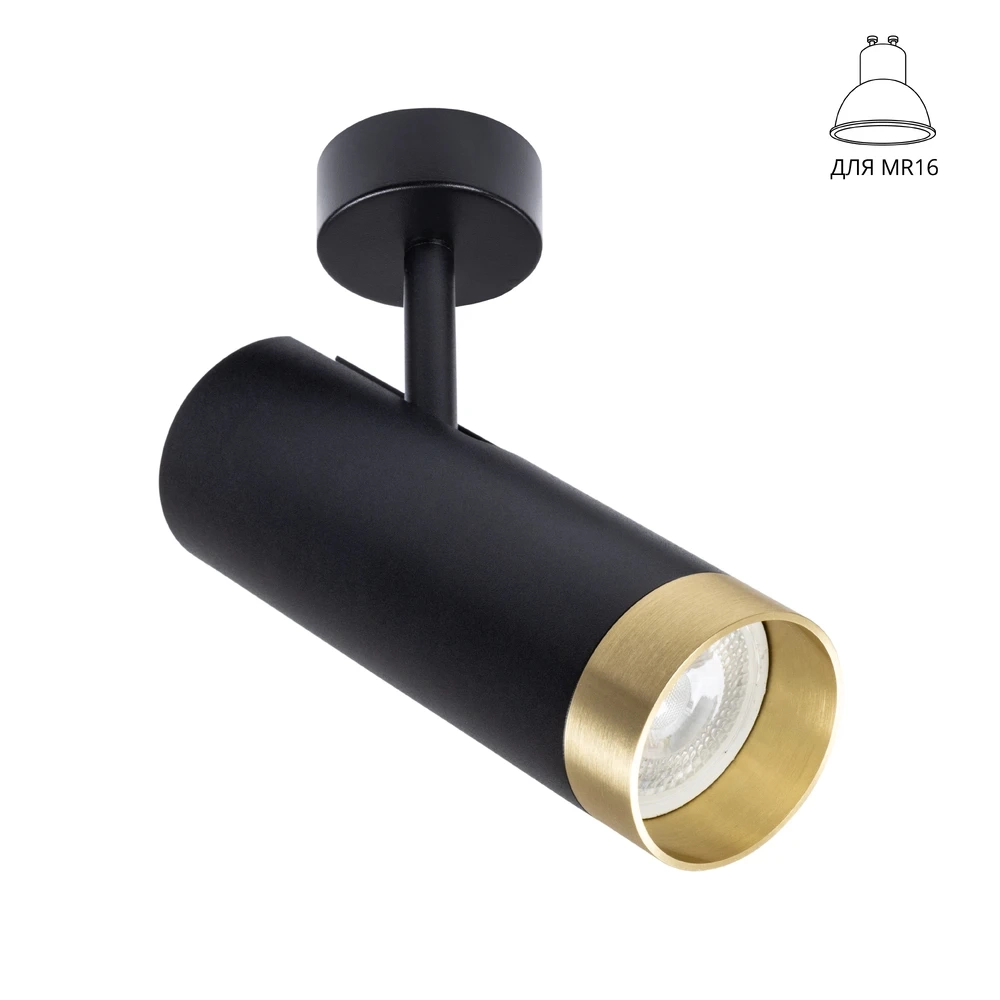 Спот Arte Lamp TOPIC A2357PL-1BK