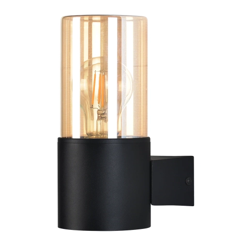 Купить Уличный настенный светильник Arte lamp SEGINUS A6515AL-1BK