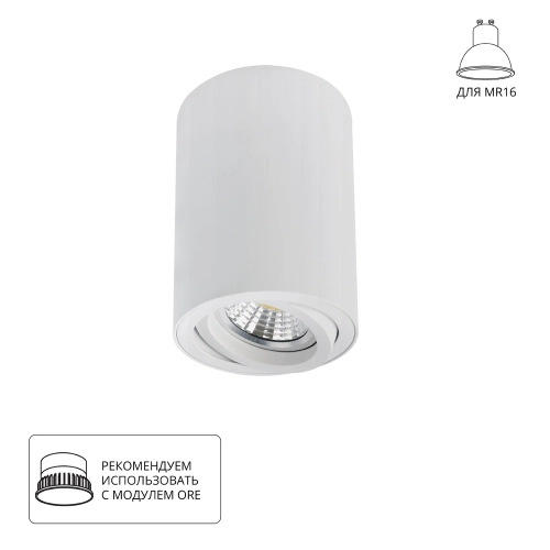 Купить Точечный накладной светильник Arte Lamp SENTRY A1566PL-1WH