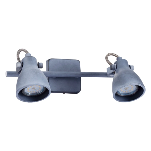 Купить Спот Arte Lamp GOTTO A9189AP-2GY