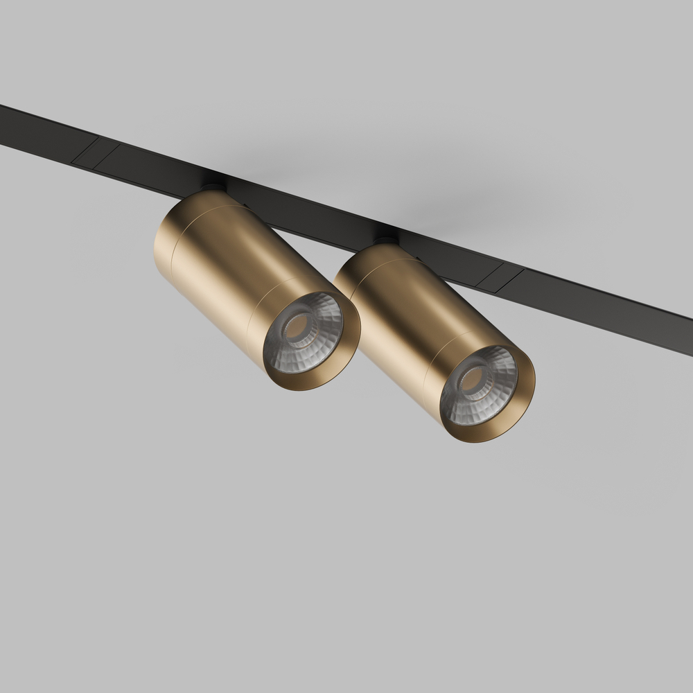 DK8012-BG Акцентный светильник SMART SPOT DOUBLE 2x9W DIM 3000K-6000K, матовое золото с черным