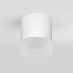 Уличный потолочный светильник Light LED 2107 IP54 35140/H белый